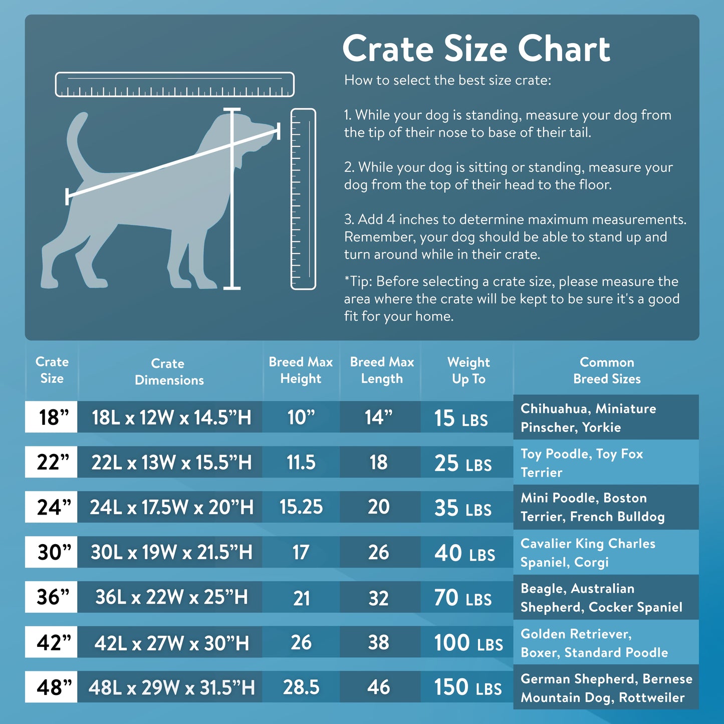 Wire Dog Crate, Single-Door, Divider and Leak-Proof Tray, Metal, Foldable, Durable, Black, 48"