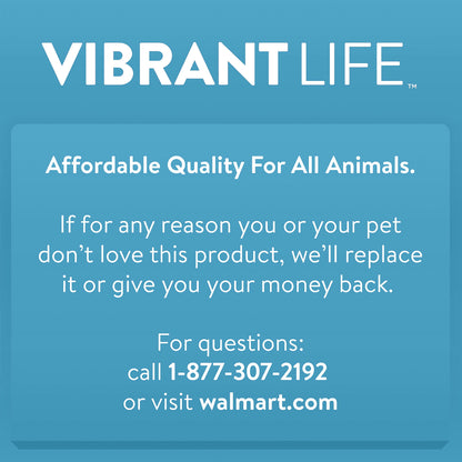 Wire Dog Crate, Single-Door, Divider and Leak-Proof Tray, Metal, Foldable, Durable, Black, 48"